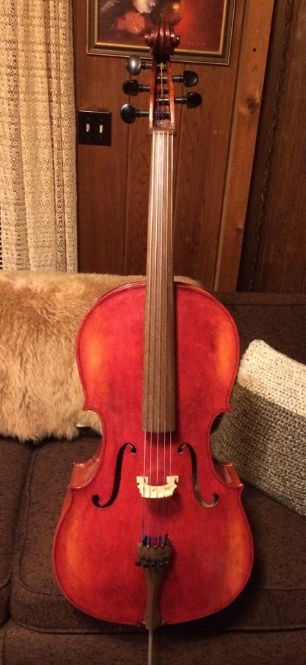 Violoncello piccolo store for sale